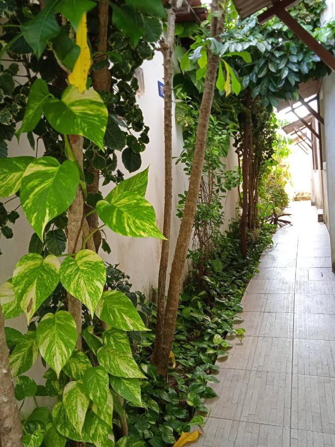 La Perla Hotel Praia de Pipa Ngoại thất bức ảnh